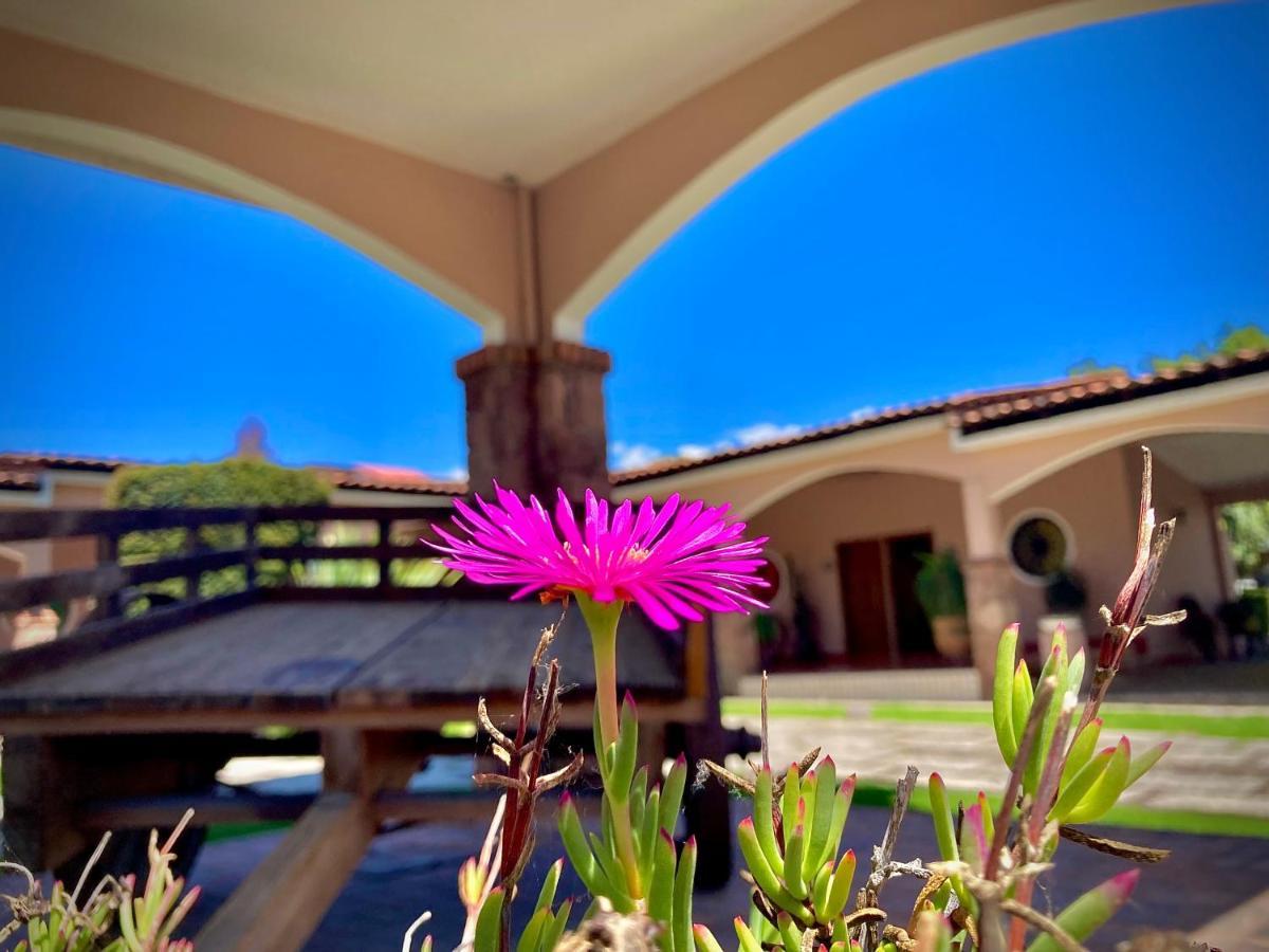 Hotel Ojo De Agua Ciudad Hidalgo Exterior foto